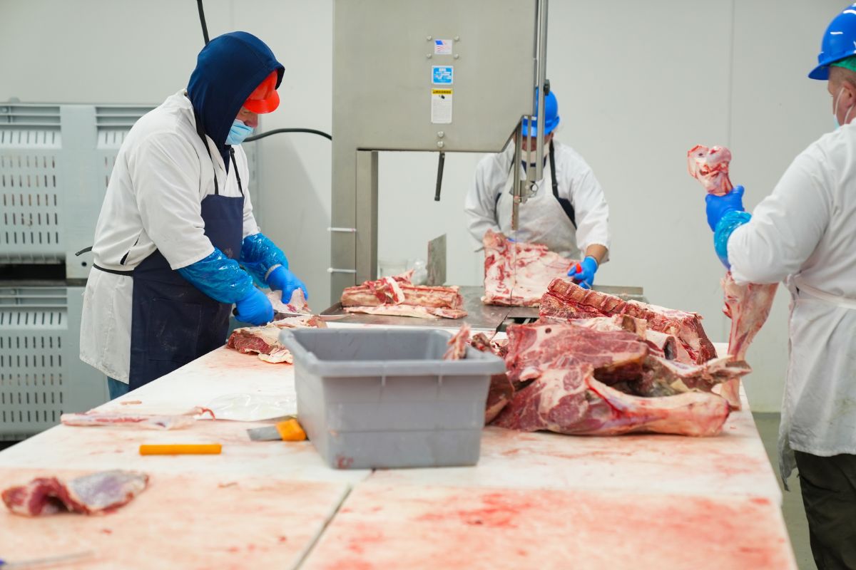 Casa De Carne VITELO