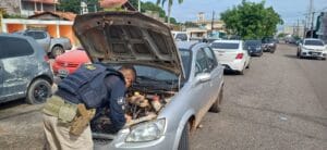Recuperação de veículo com registro de furto em Santarém-PA pela PRF