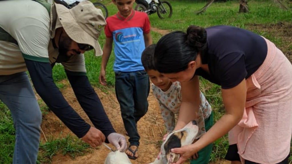Campanha de vacinação antirrábica em Oriximiná