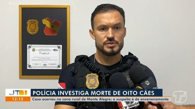 Investigação da morte de oito cães por suspeita de envenenamento em Monte Alegre