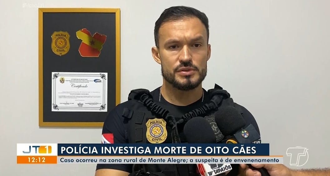 Investigação da morte de oito cães por suspeita de envenenamento em Monte Alegre