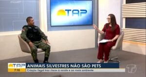 Riscos de Manter animal silvestre em casa e Legislação Ambiental