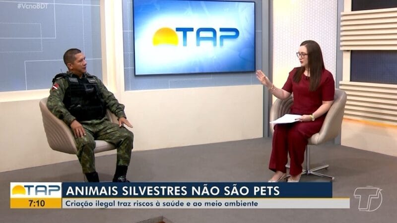 Riscos de Manter animal silvestre em casa e Legislação Ambiental