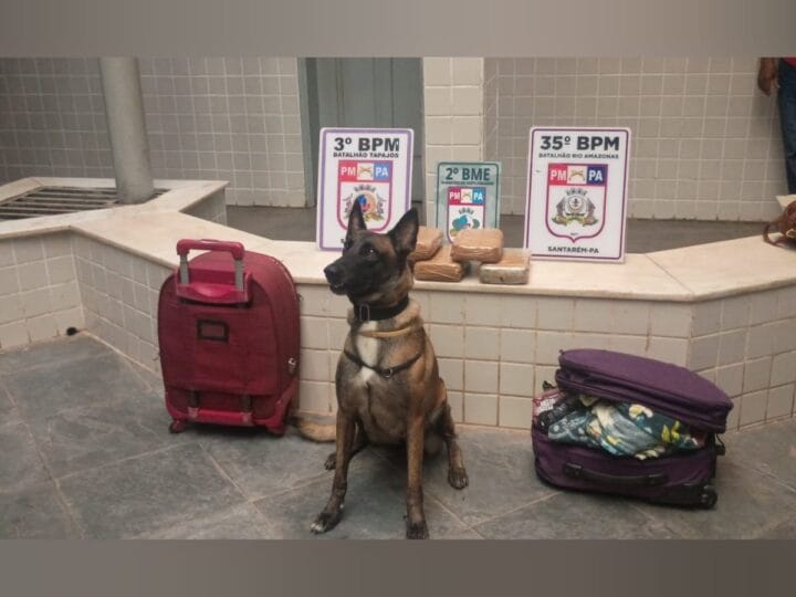 Apreensão de 5 Kg de drogas em embarcação de Santarém