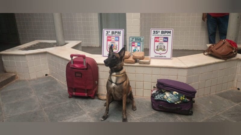 Apreensão de 5 Kg de drogas em embarcação de Santarém